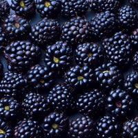 Blackberry