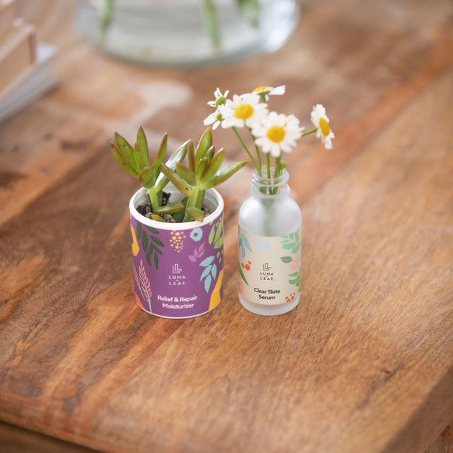 Two used bottles with flowers arranged inside
