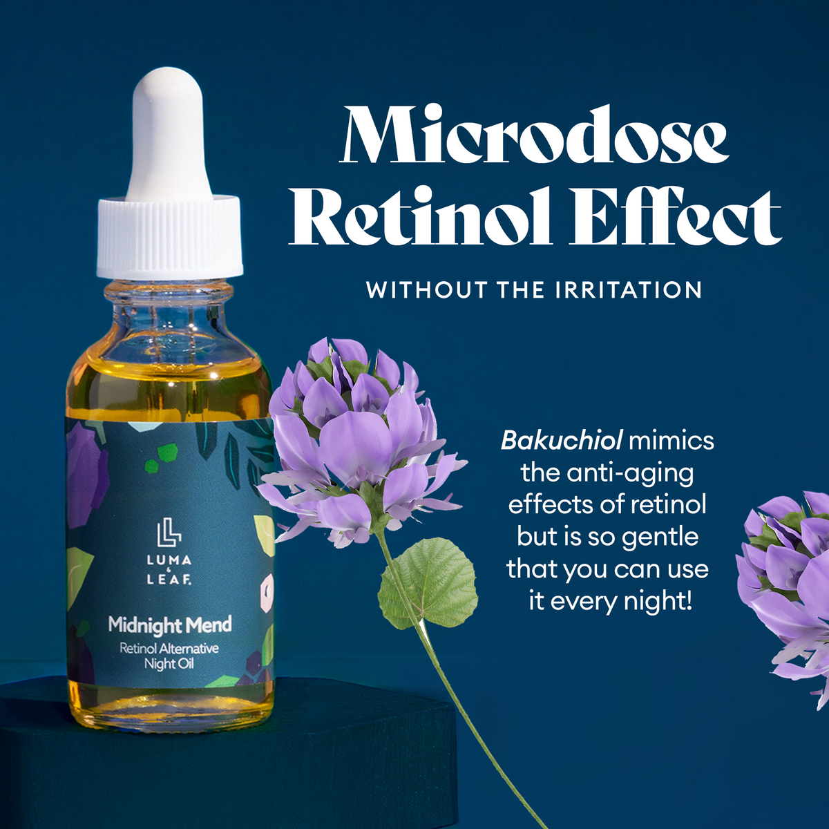 Midnight Mend bakuchiol oil with rock samphire and phytoceramides