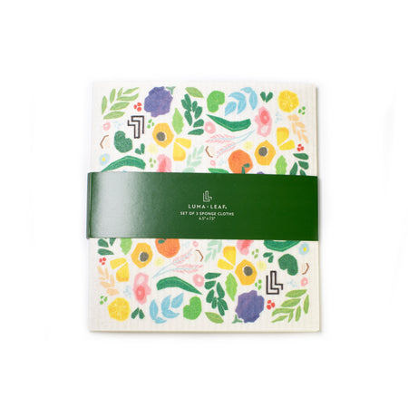 Free Reusable Sponge