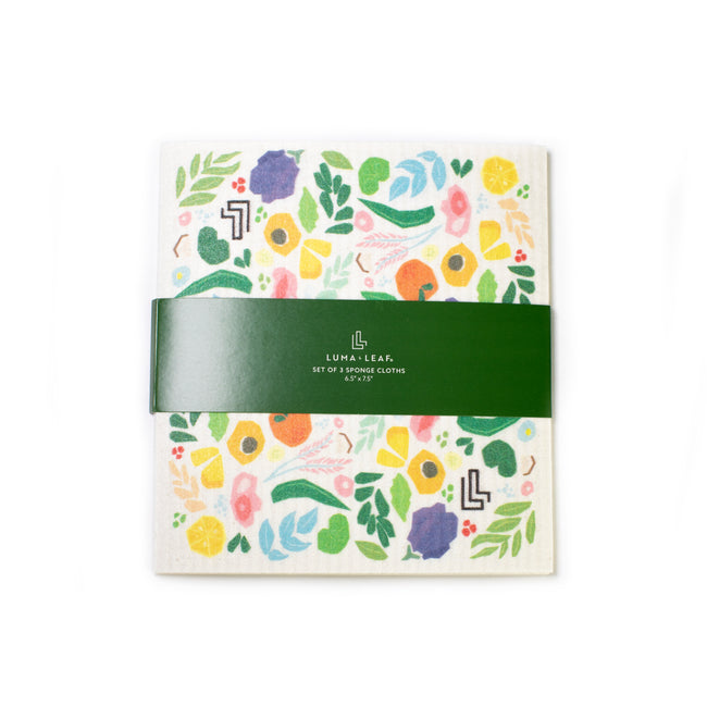 Free Reusable Sponge