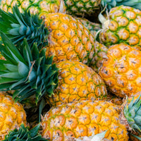 Fresh pineapple 