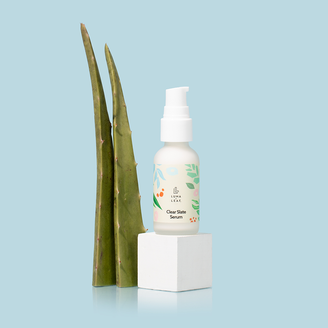 Clear Slate bakuchiol serum in a daily routine for clearer looking skin